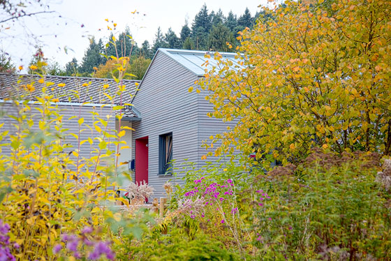 Modernes Haus mit grauer Holzfassade und roter Tür, eingebettet in herbstlich gefärbte Bäume und blühende Pflanzen.